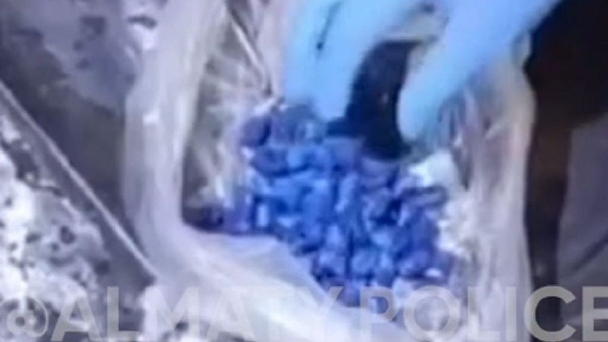 285 подозрительных свертков обнаружили при обыске в машине алматинца (видео)
