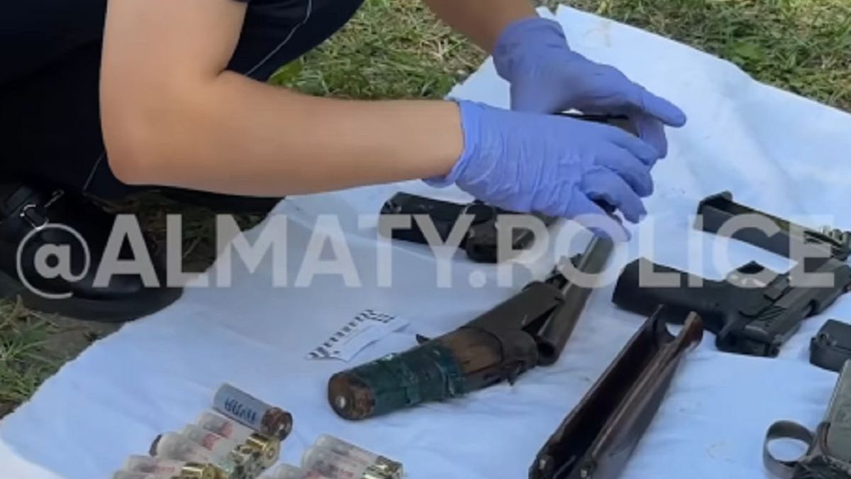 Тайник с арсеналом оружия обнаружили полицейские в Алматы (видео)